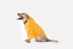 Noble Pet Дощовик з капюшоном для собак Noblepet Moss Yellow, одяг для собак унісекс, 2XL (M4106/2XL)