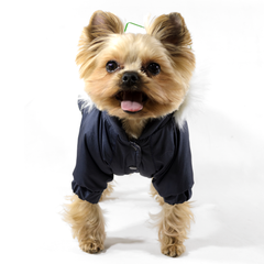 Lucky Pet Костюм Соло для породи Той тер'єр синій S №1, 25 х 28 см