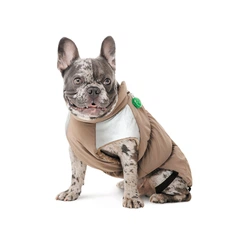 Жилет для такси Pet Fashion Chip бежевий на зиму розмір XS