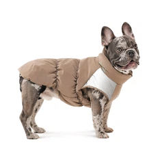 Жилет для такси Pet Fashion Chip бежевий на зиму розмір XS