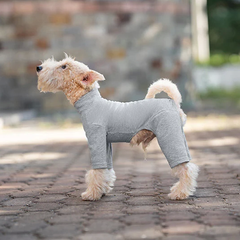 Vpetbr Базовий комбінезон/піжама для собак V.PET.B.R. Dog Jumpsuit CF36 Grey, XS