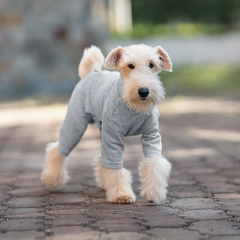 Vpetbr Базовий комбінезон/піжама для собак V.PET.B.R. Dog Jumpsuit CF36 Grey, XS
