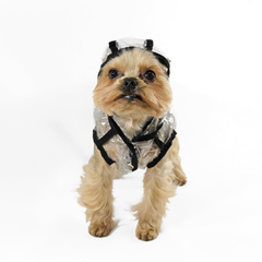 Вітровка Lucky Pet Дощик Прозора Міні XS, 21 х 27 см