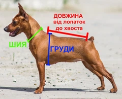 Без бренду Зимовий комбінезон для собак Мандарин XS Помаранчевий
