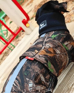 Теплий водонепроникний одяг для собак. Попон для такс. Your Stylish Hunter. Active Dog-forest. SKU 00245. Розмір M