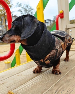 Теплий водонепроникний одяг для собак. Попон для такс. Your Stylish Hunter. Active Dog-forest. SKU 00245. Розмір M