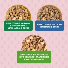 Delickcious Корм для дорослих собак