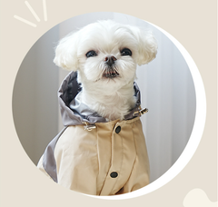 Без бренду Водонепроникний комбінезон для собак Cheepet сірий колір розмір S