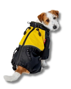 Одяг для собак дощовик “JUMP TOY”. SKU 00641. Розмір XL. Your Stylish Hunter. Комбінезон дощовик для собак дрібних порід.