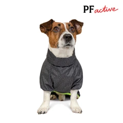 Комбінезон для собак Pet Fashion Rain сірий демісезонний з поліестеру розмір XS