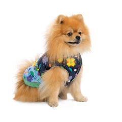 Жилет для собак Pet Fashion Grass на зиму розмір XS