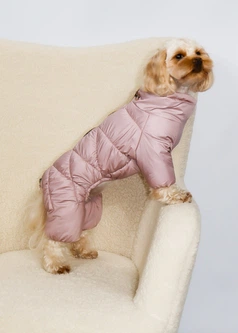 Зимовий комбінезон Comfort NEW пудра Dogs Bomba R-65/5