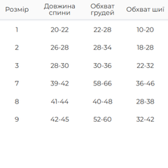 Зимовий комбінезон Dogs Bomba Comfort синій 1