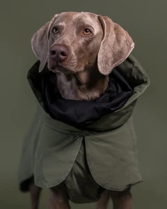 Paika Тепла попона для собак Winter Jacket Green Paikka 25