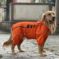 Комбінезон-дощовик для собак Derby Dog Suit Orange M