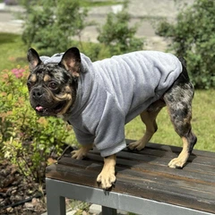 Одяг для собак "Teddy Sweatshirt Grey". SKU 004791. Розмір S. Your Stylish Hunter. Худі для собак для французського бульдога, мопса, спанієля та інших.