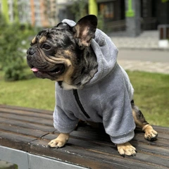 Одяг для собак "Teddy Sweatshirt Grey". SKU 004791. Розмір S. Your Stylish Hunter. Худі для собак для французського бульдога, мопса, спанієля та інших.