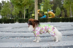 Комбінезон Smart Pet Florist, M1 Різнокольоровий