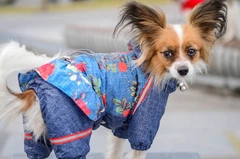 Комбінезон Smart Pet Роуз, S2m Синій