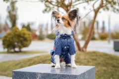 Комбінезон Smart Pet Роуз, S2m Синій