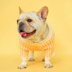 Без бренда Светр для собак PetCircle широка безжова в'язка, помаранчевий L Petcircle Summer 000354949