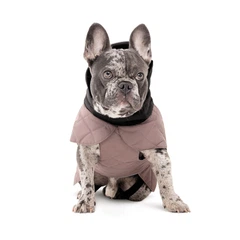 Pet Fashion Попона для собак Max S бежева для нестандартної статури (MLZ11039)