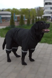 Dogs Bomba Комбінезон - дощовик 64 см (об'єм до 92см) чорний розмір 11 для собак XL