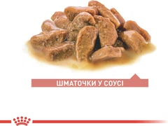 Royal Canin Вологий корм (шматочки в соусі) з м'ясо та м'ясні субпродукти для літніх котів