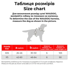 Кругла шкіряна шлея WAUDOG Glamour N2 з повідцем для котів і дрібних собак 90 см 6 мм Чорна (34021)
