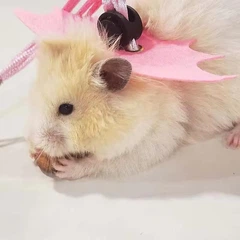 Xtep Шлея з повідцем для гризунів "BATMANI" Pink