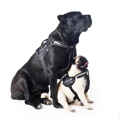 Collar Шлея "Dog Extreme" "POLICE" №2 (В:40-60см), чорний
