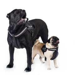 Collar Шлея "Dog Extreme" "POLICE" №2 (В:40-60см), чорний
