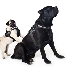 Collar Шлея "Dog Extreme" "POLICE" №2 (В:40-60см), чорний