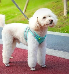 Без бренду Шлейка анатомічна та повідець Kafuli Pet Collection для собак та кішок 3-15 кг M Блакитний