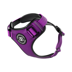 Анатомічна шлея для собак BullyBillows Premium Comfort Harness S: ОШ 32-48 см, ОГ 57-73 см Фіолетовий