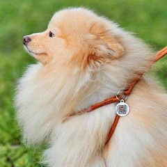 Шлея з повідцем для собак дрібних порід WAUDOG Soft XS, шкіряна кругла Ø6 мм, з QR-паспортом, обхват шиї 26–46 см, грудей 30–50 см, довжина повідця 105 см, коричнева, арт. 46236