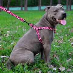 Barksi Шлея для собак BronzeDog Urban L нейлон кісточки рожевий 58-71 см 72/1332