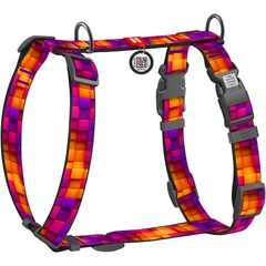Шлея для собак анатомічна Н-подібна WAUDOG Nylon з QR-паспортом, малюнок "Куби 3Д", з двома фастексами, розмір S