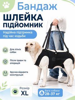 Без бренду Бандаж шлейка для підтримки та перенесення собак з ременями для спини і лап XL 28–37 кг чорний (SH-XL)