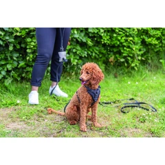 Шлея Trixie CityStyle H-harness для собак бавовна M–L 52–75 см 20 мм чорна