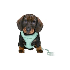 Шлейка з повідцем для цуценят Trixie Junior Puppy м'ятна S-M 26-34 см 2 м (MLZ10743)