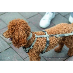 Шлей для собак Trixie CityStyle H-harness XS-S 30-44 см 10 мм, світло-сірий