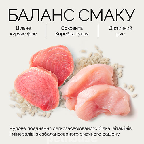 Savory Вологий корм (шматочки в желе) з курка тунець для дорослих котів