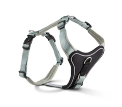 Шлейка для собак пом'якшена Wolters Professional Comfort 4 60-70 см / 30 мм Зелений