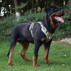 Derby Нейлонова двостороння тактична шлейка для собак Tactical Dog Harness S Хакі