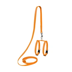 Collar Шлея Dog Extreme з нейлону з повідцем для морських свинок ш 10мм, д 115см, В:12-22см помаранчевий