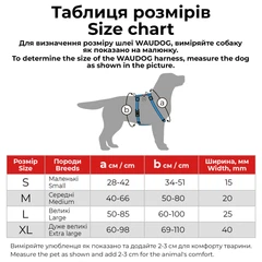 Шлея для собак WAUDOG Waterproof з QR паспортом S 15 мм Помаранчева