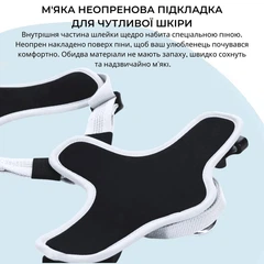 Світловідбиваюча шлея для собак BullyBillows Active Harness S: ОШ 34-52 см, ОГ 46-56 см Чорний