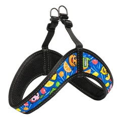 Hi Dog Шлея HIDOG COMFORT Crazy blue fruits XXS 28-34см (135/1058)