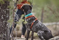Анатомічна шлейка для собак Hurtta Casual Y-harness 90-100 Коричневий